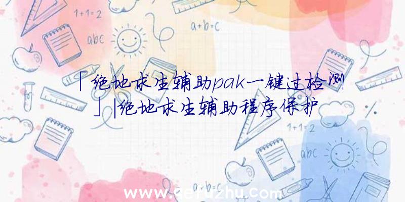 「绝地求生辅助pak一键过检测」|绝地求生辅助程序保护